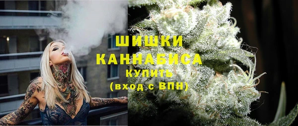 прущая мука Богородицк
