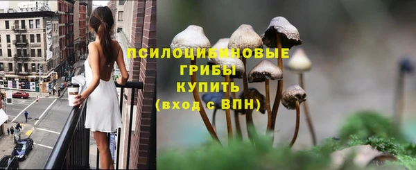 скорость Богданович
